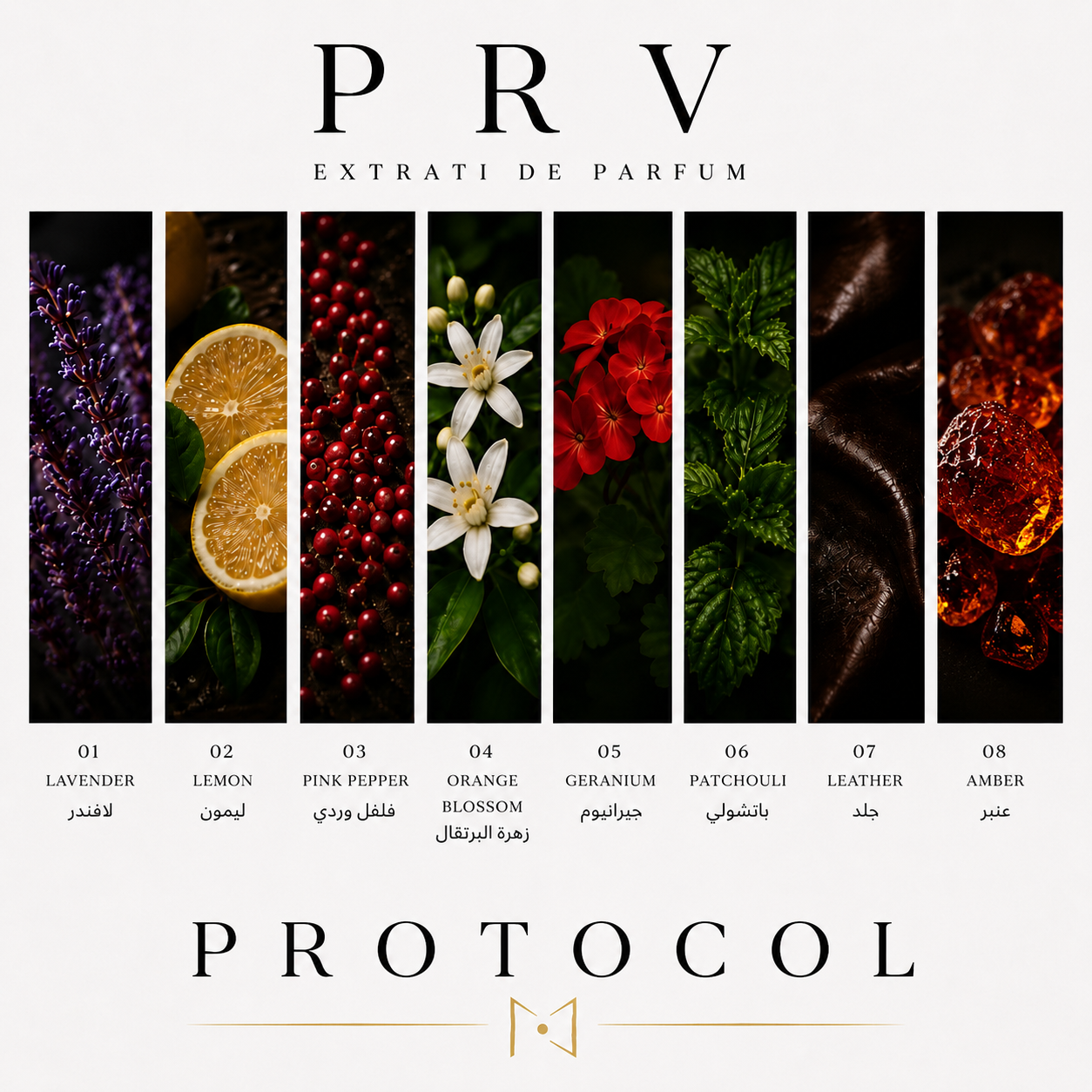 Protocol-50ml - Image 2